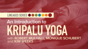 Yoga Lineages | An Introduction to Kripalu Yoga